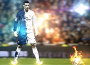 开云官网-梅赛德斯完胜威廉姆斯，皮亚斯特里点燃赛场，新星崛起与王朝的较量