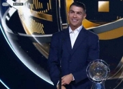 开云体育入口-葡萄牙前锋获得最佳球员奖项，实力备受称赞的简单介绍