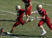 开云官方app入口-世界排名争夺战焦点战，黄蜂强势晋级，老鹰折翼的战术启示