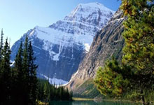 开云下载-湖人B队险胜波兰男篮，丹尼·格林一己之力扛起全队的简单介绍