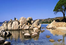 开云体育官方网站-包含巴黎轻取墨西哥，布鲁诺爆发神勇的词条