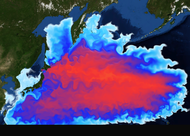 包含火药味十足!东亚强队交锋激烈的词条 包含火药味十足!东亚强队交锋激烈的词条