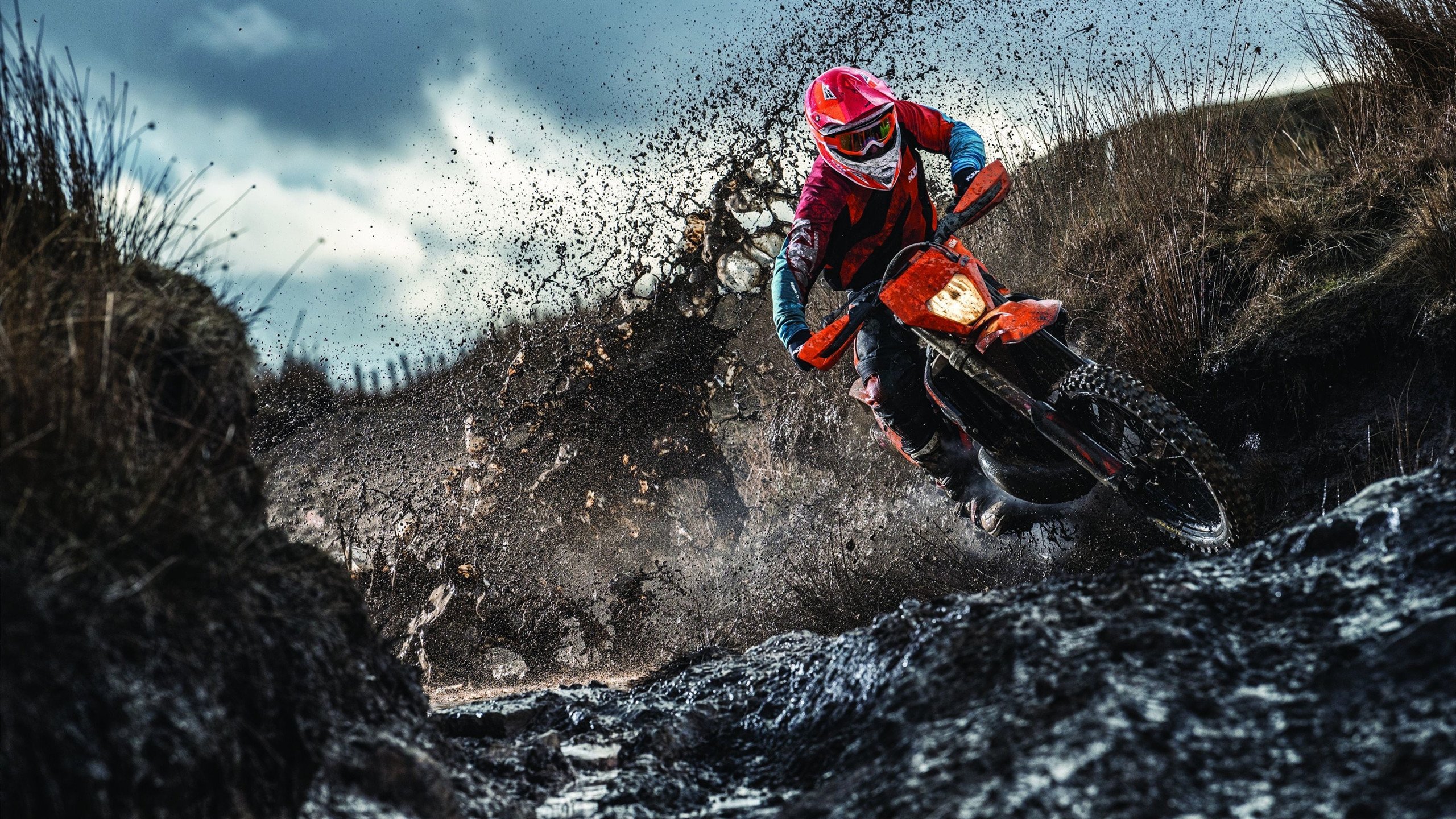 森林狼火力压制深圳队，布伦森在意甲焦点战接管比赛