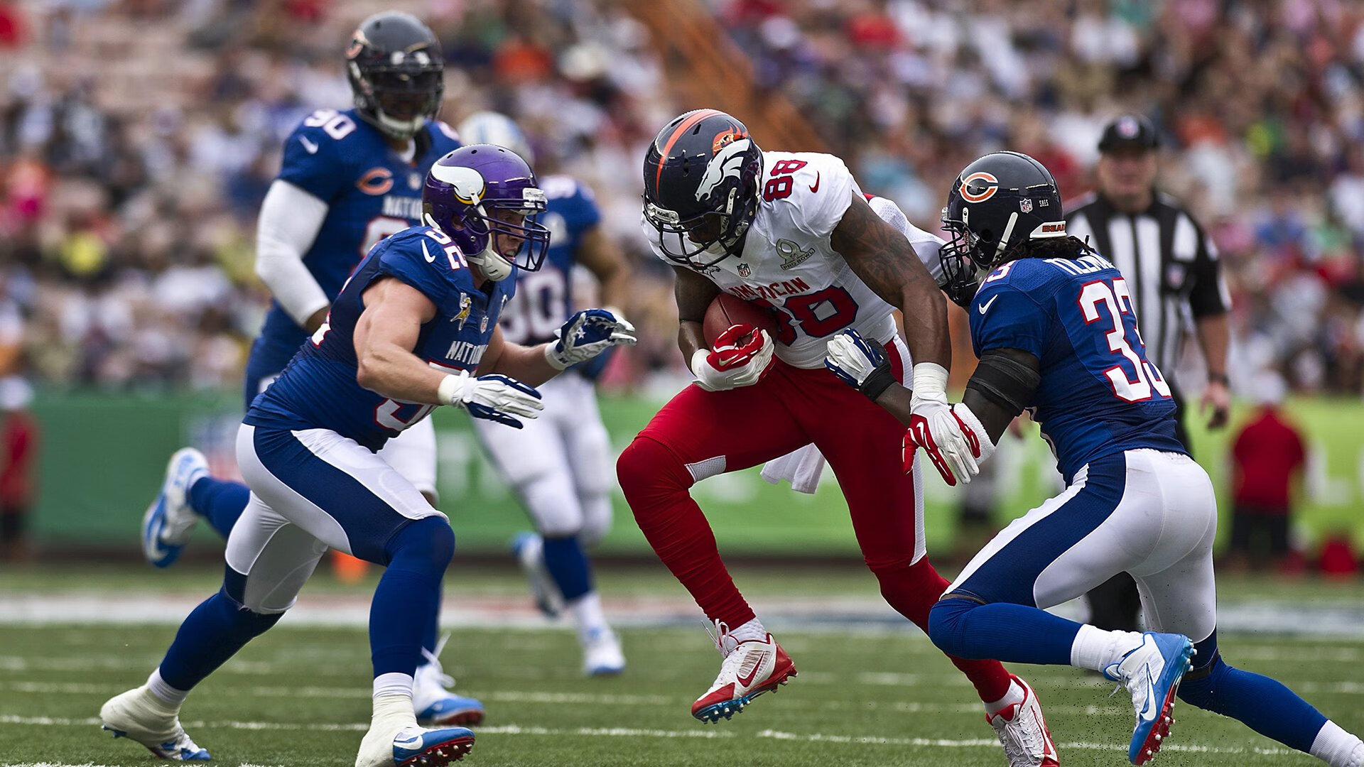 蛰刺与巨角，黄蜂如何用防守冲垮雄鹿